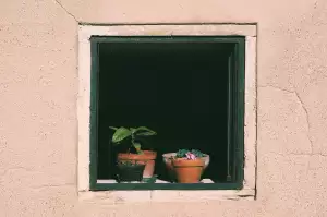 Windows Zdarma